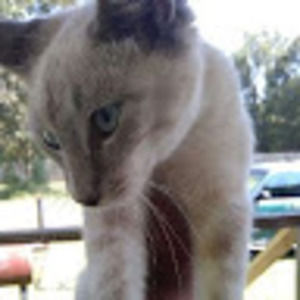 Meet your Posher, Kyra